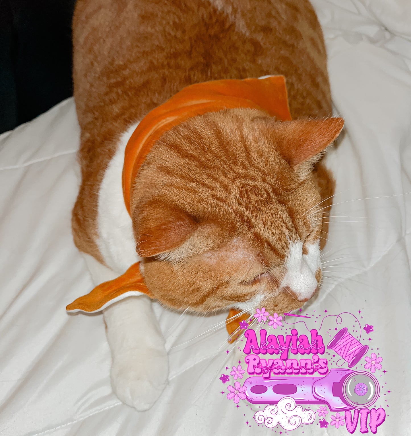 Animal Bandanas